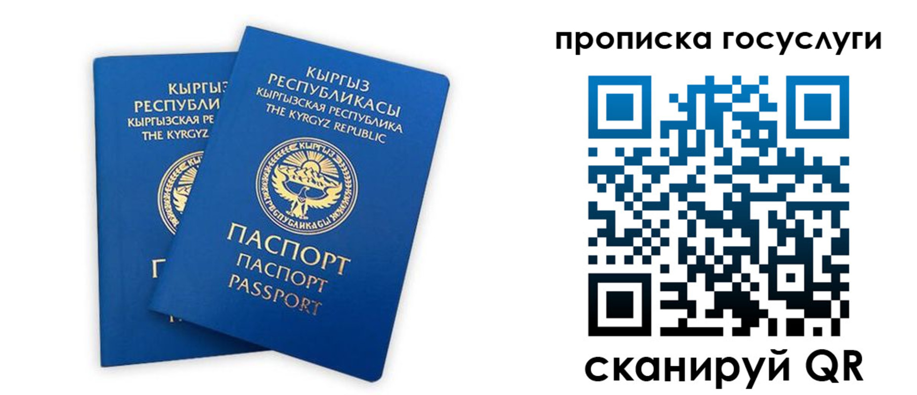 временная регистрация госуслуги в Новокубанске